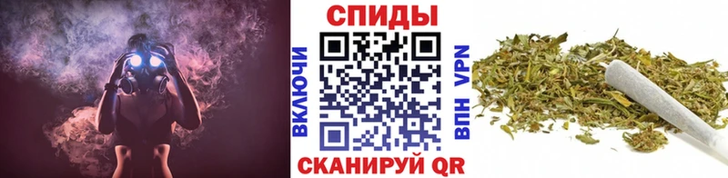 Купить  Борзя  Бутират 1.4BDO 