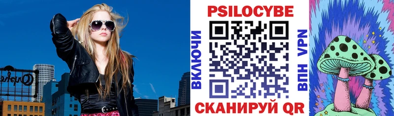 Псилоцибиновые грибы Magic Shrooms  Купить  Борзя 