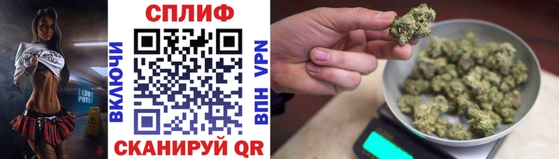Купить где  Борзя  Каннабис сатива 